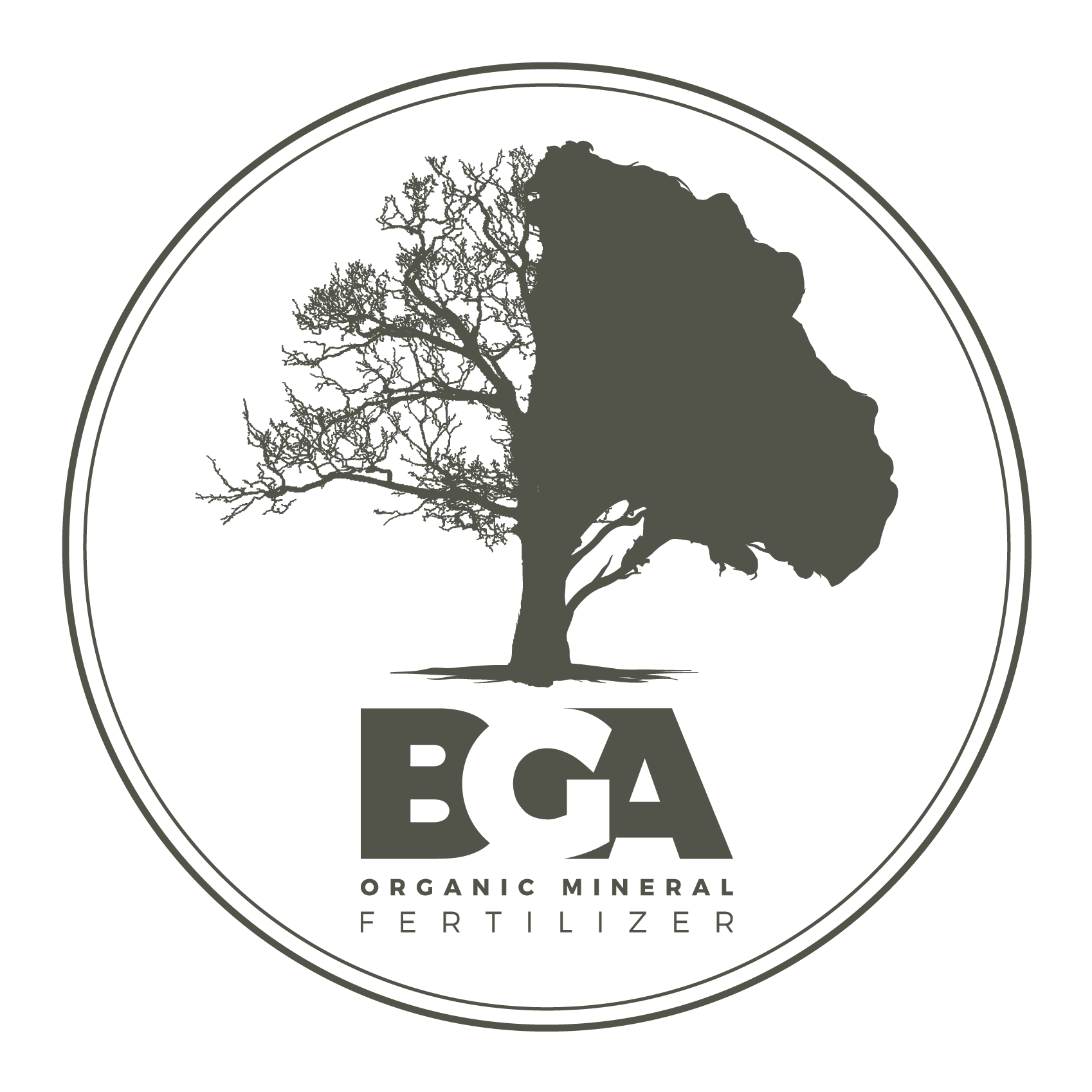 BGA